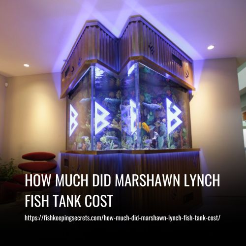 How Much Did Marshawn Lynch Fish Tank Cost