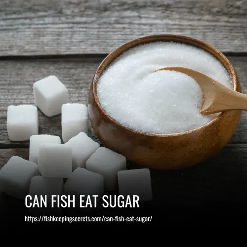 can fish eat sugar