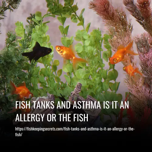 fish tanks and asthma is it an allergy or the fish
