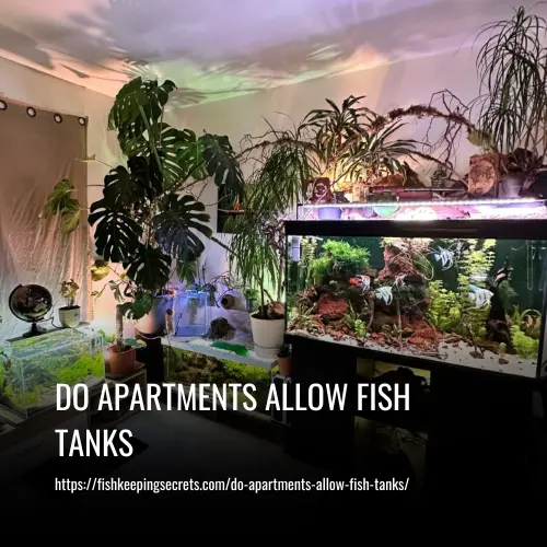 Do Apartments Allow Fish Tanks
