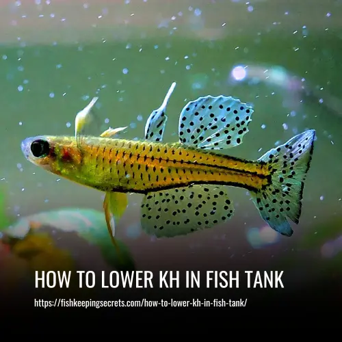 How To Lower KH In Fish Tank