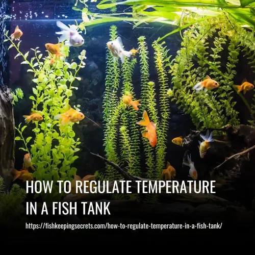 How To Regulate Temperature In A Fish Tank
