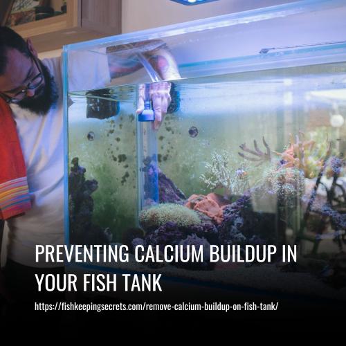 Preventing Calcium Buildup in Your Fish Tank