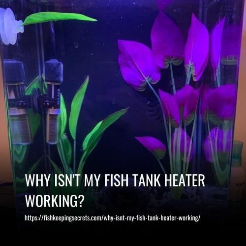why isnt my fish tank heater working
